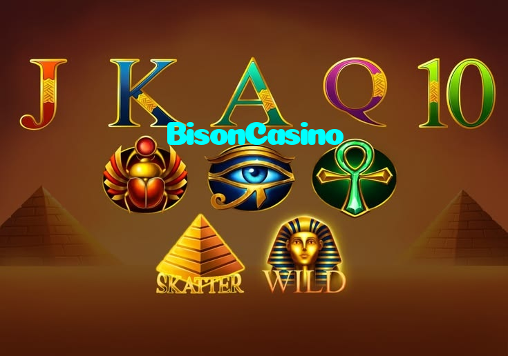 available types of BisonCasino bet including pre-match live express and system bets